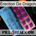 Érection De Dragon 35
